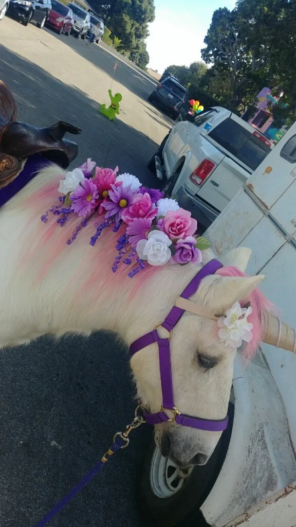An animal transport trailer parked near a park entrance with handlers preparing the ponies for an event